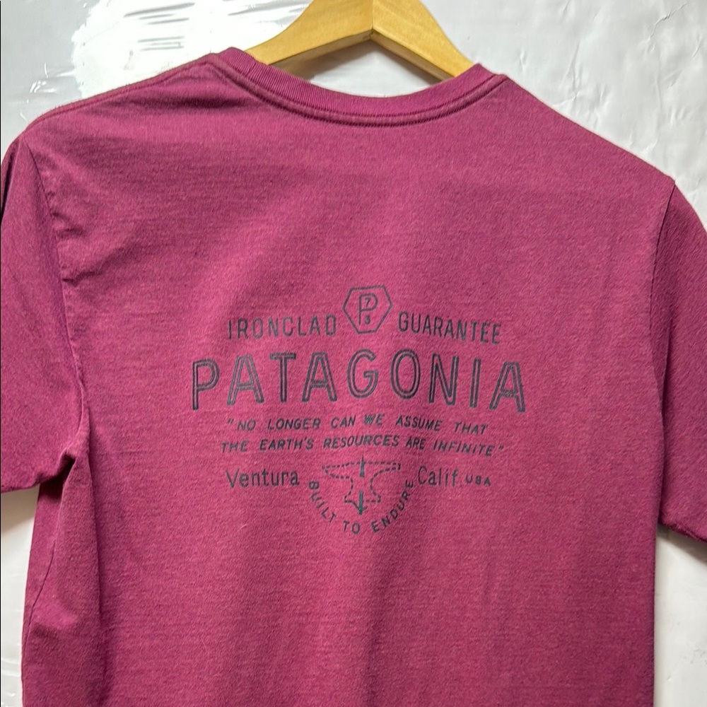 Patagonia Pink Short Sleeve Tee with Logo